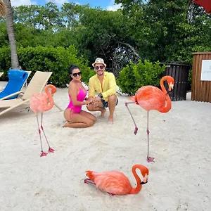  Appartement Bavaro Suites Pool Ducassi-sol Caribe